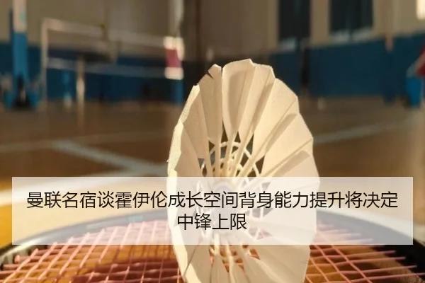 曼联名宿谈霍伊伦成长空间背身能力提升将决定中锋上限
